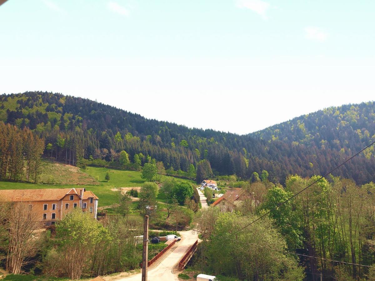 ⁂⁂ Le Grand Duc Appartement Cledicihome / Magnifique Vue Sur Les Montagnes / 4 Kms De Gerardmer ! ⁂⁂ Rochesson Exterior photo
