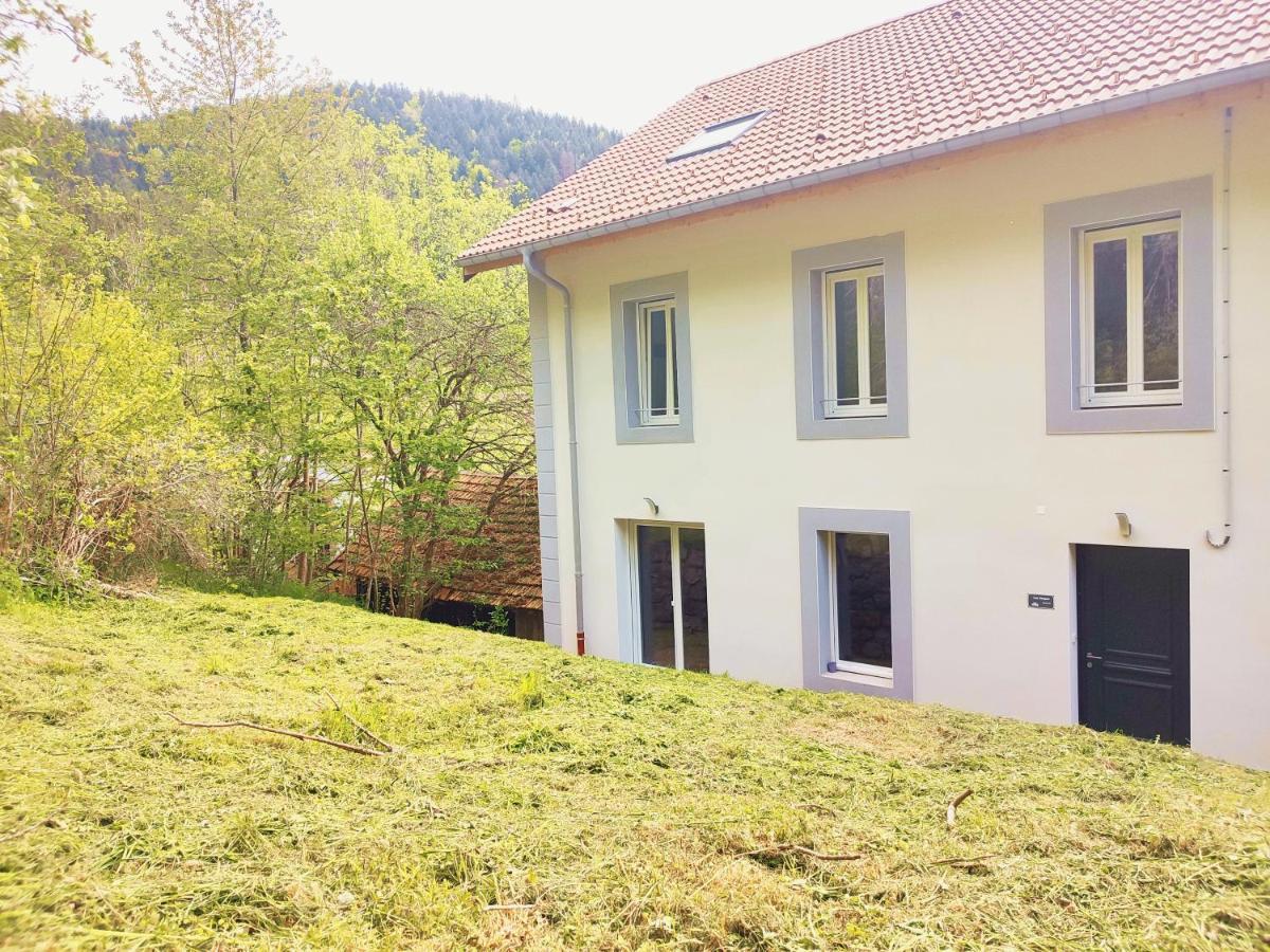 ⁂⁂ Le Grand Duc Appartement Cledicihome / Magnifique Vue Sur Les Montagnes / 4 Kms De Gerardmer ! ⁂⁂ Rochesson Exterior photo